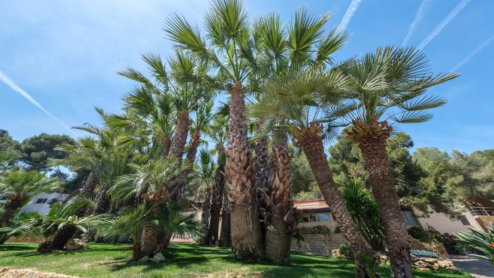 Camping Estival Torre De La Mora Tamarit 2*,  Spanien